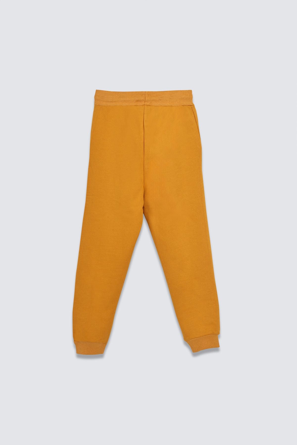 2'Li Basic Şardonlu 2 İplik Eşofman Set ( Winnie The Pooh - Hardal )