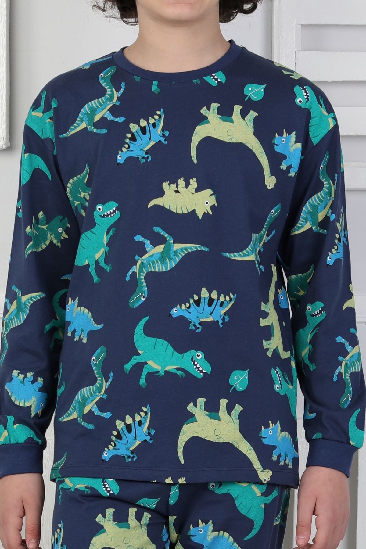Stegosaurus desenli erkek çocuk pijama takımı